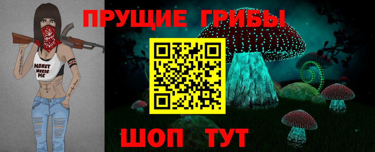 Тайшет  Псилоцибиновые грибы Magic Shrooms  Вход с VPN  Галлюциногенные грибы Cubensis 